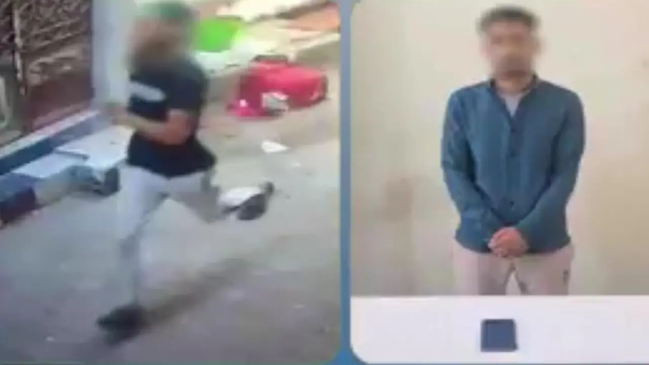 سقوط لص خدع سيدة وسرق موبايلها في البحيرة